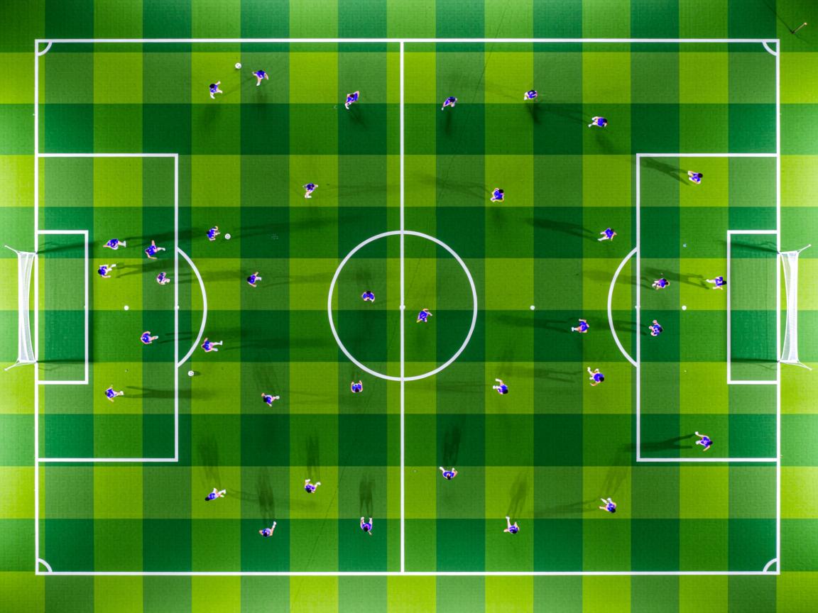 米兰体育官方网站-基层足球赛事机制偏离教学导向，足球比赛技术区域  第3张