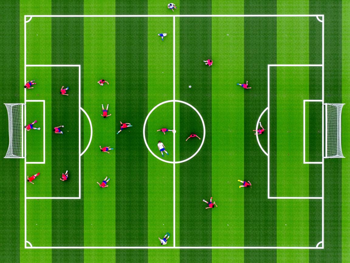 米兰体育app-女子项目全面开花 金牌收割进行时